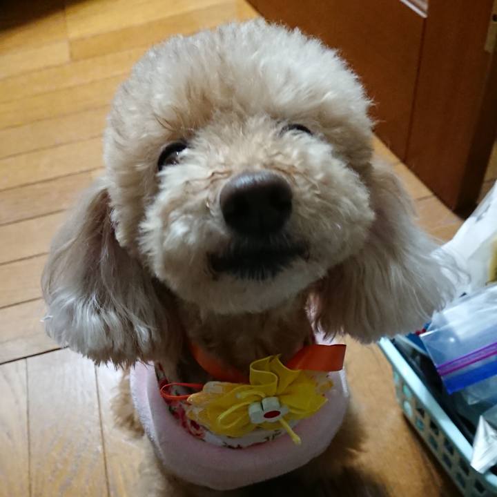 35ff863a 857b 47d3 9b01 0aa1a90b90b4 1583159192984