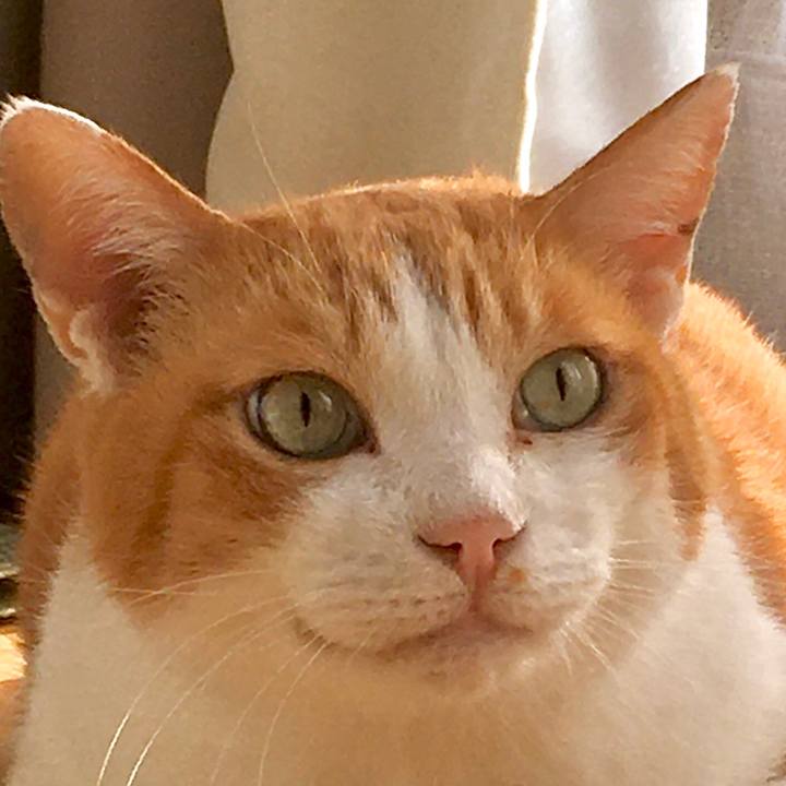 35ff9e67 f11d 4187 b1de c564795e850c 1571112266081