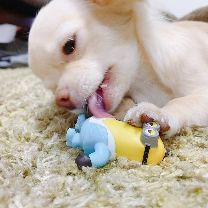 35ffaf10 1f47 4eae a776 a308f99e0a82 1596780422726