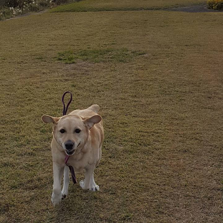 35ffba33 e57d 4a8b 950c e2834bebace2 1543145894899