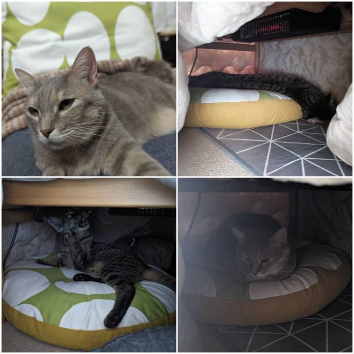 35ffbb5a 20e2 409c 9475 6fb856936ba4 1714020609173