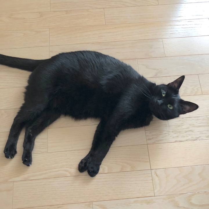 35ffd8a5 b795 4264 b54a 41b5d452a165 1514085054426