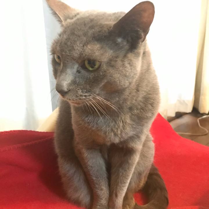 35ffda43 18a0 4fcb b6ab f6cdf3619acc 1604736150221