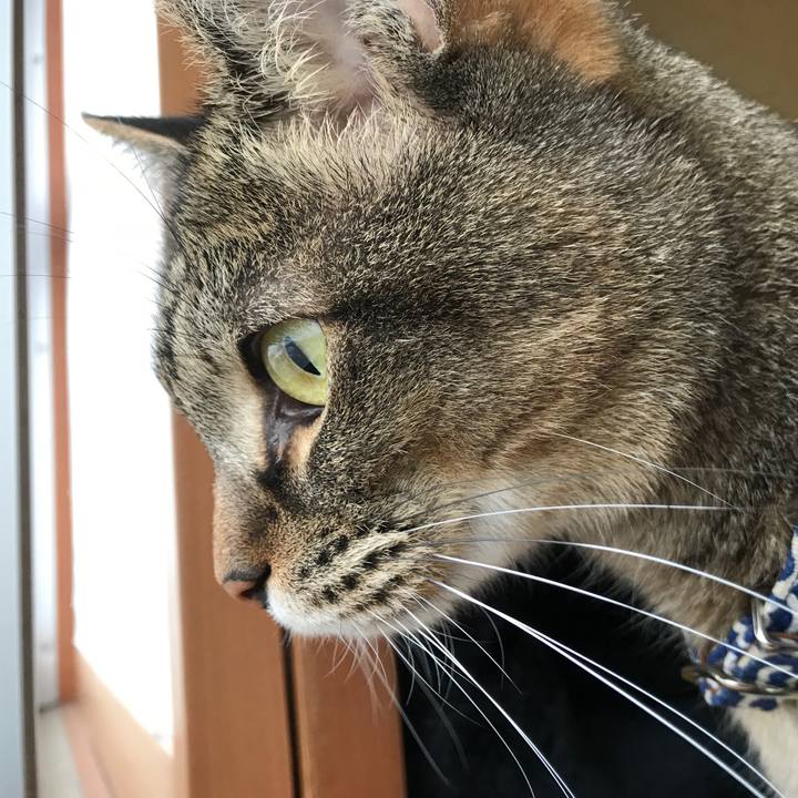 36000d6e e3aa 4317 915a c6917ffdc3ab 1529747474566