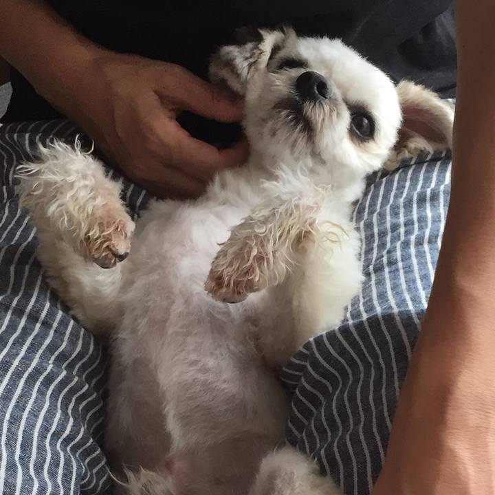 36003e47 6dea 4c73 8d4e 96e7dfcfd334 1567242420945