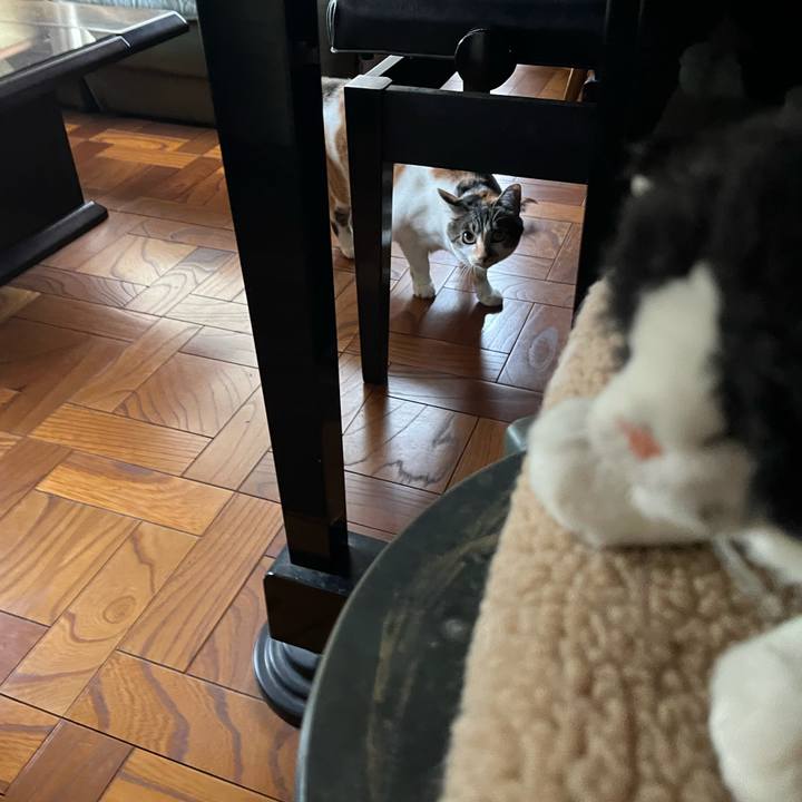 3600516d 10c6 49ac 8240 7d9f18da710b 1759446400789