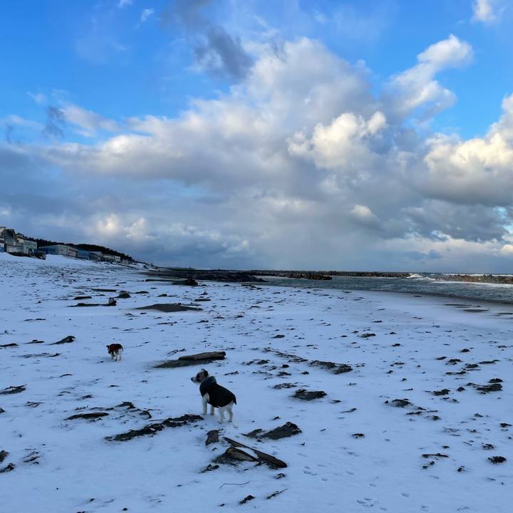 36006be5 e9f3 4265 853a 48ae54640899 1641339225462