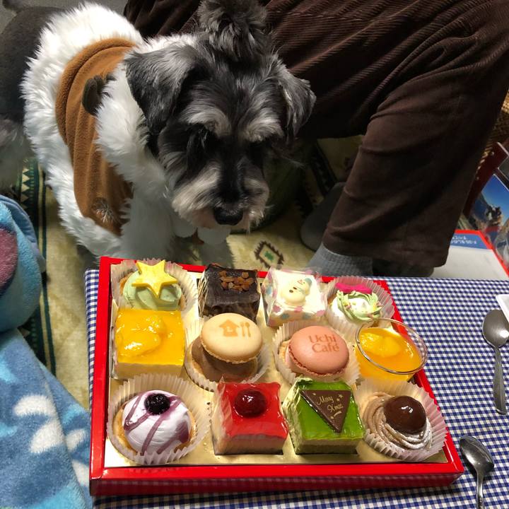 3600c8fd 27d4 4b93 ae85 4fee55bc8b9c 1640442721836