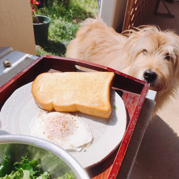 3600e4b0 7149 4eaa 9873 62aac3a73a20 1585973065987