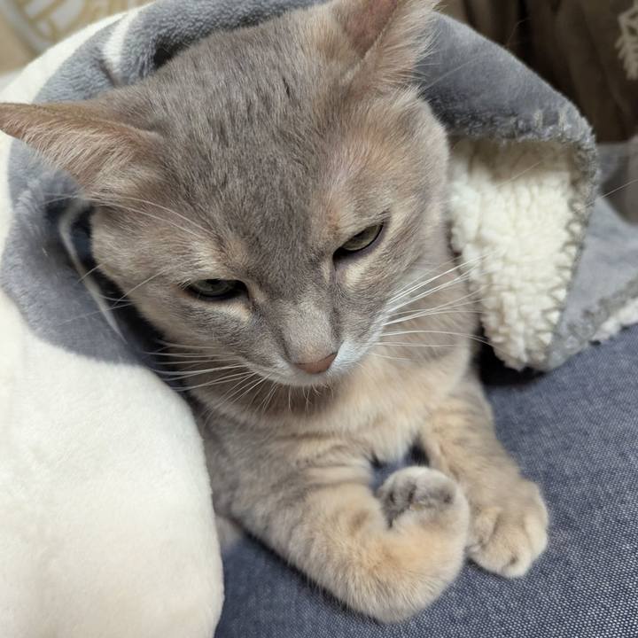 3601099d 5eab 4cfa 968f 6d16f5c1579b 1770851706462