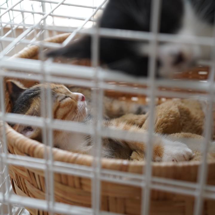 36011637 bd67 4742 bd8e afecaa9a37ae 1567302528849