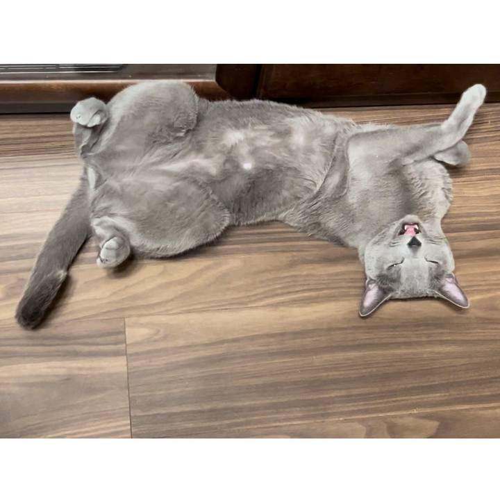 3601553e a623 4064 997f 2d954adb535f 1739356403798