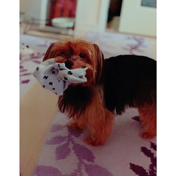 36018825 fd96 4860 a917 aed06e605c6a 1567072366583