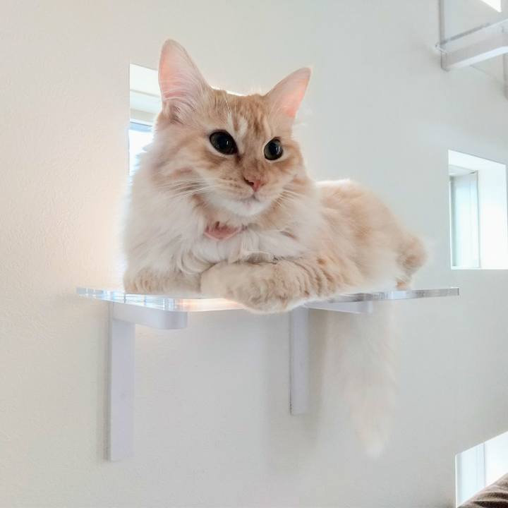 3601928d f006 4288 a45d 99720f1f811e 1628813832888