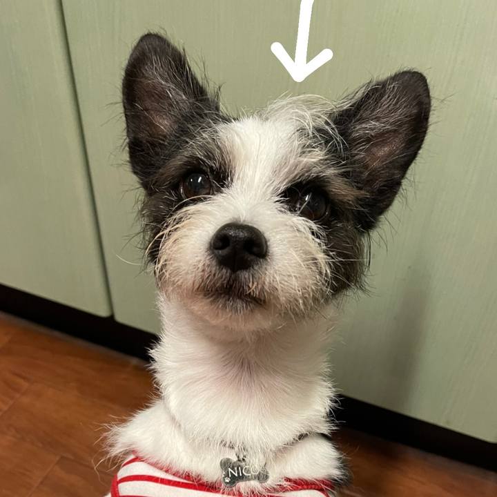 3601ddaa 358d 4e13 97f7 a0968b514555 1660825731894