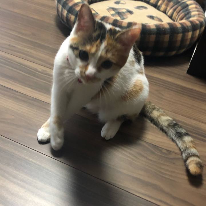 360213ed f111 4d3e a53f 72beb4790a74 1574825568658