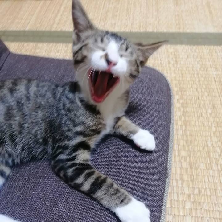 36021d52 f245 47a0 bc8d 8d9bf0a50313 1661780711369