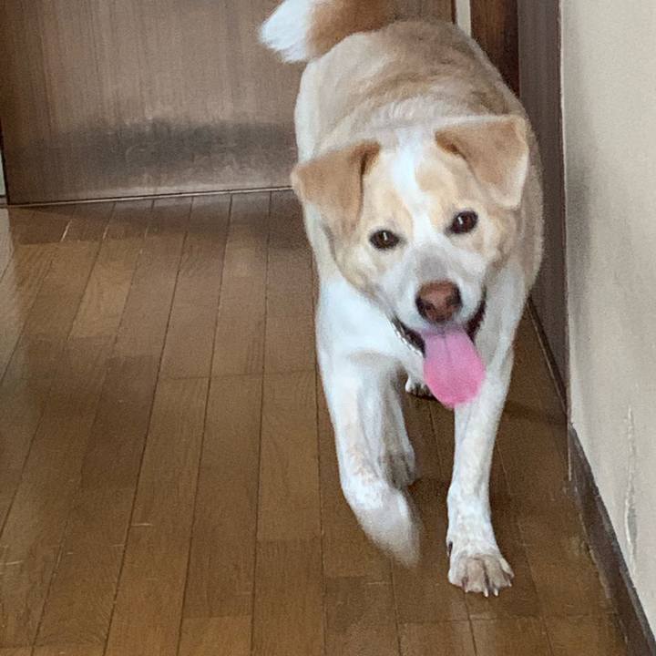 36021e6d 408c 4061 9375 7fc68ed687c9 1561081386862