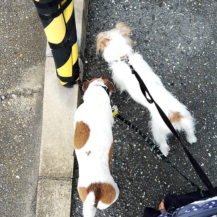 360226e5 bcd6 462c 9d4c cc7885a81a49 1532645017529