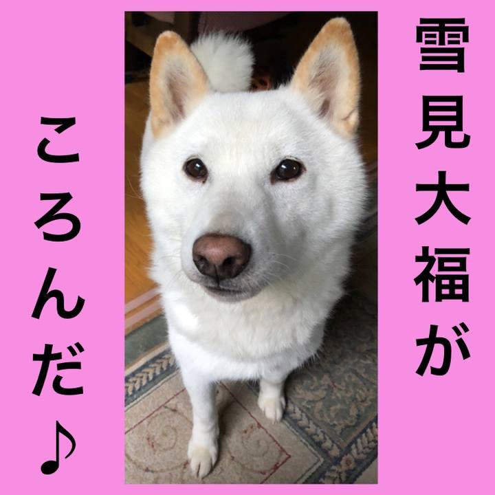 36023330 3e94 4018 8a1a 995725605f69 1592029980692