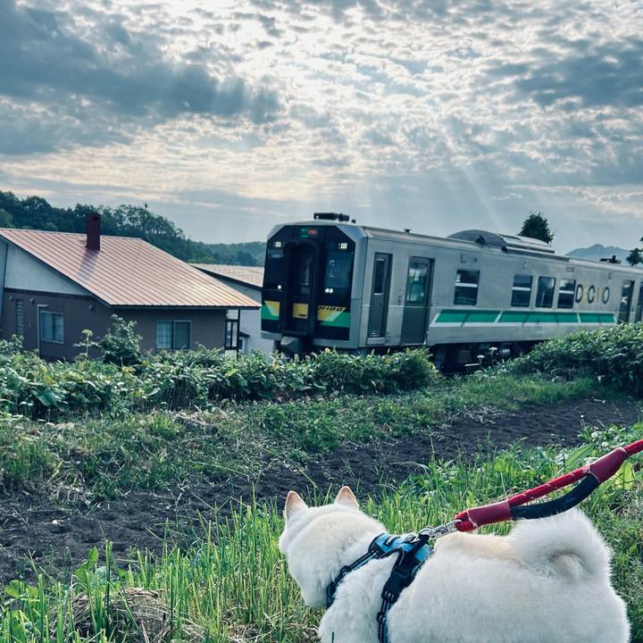 3602688d 01fc 4908 a8e2 d96a5d5aaa21 1749334033949