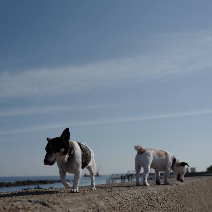 36028391 b634 4749 9752 5278926048f3 1560484432615