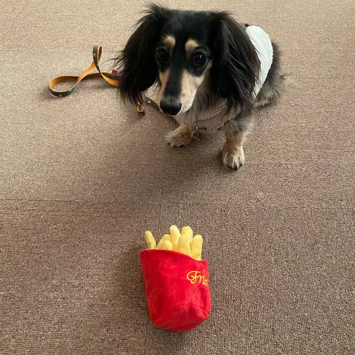 3602ae42 474b 49c3 9e18 95e7ff346837 1770273383166