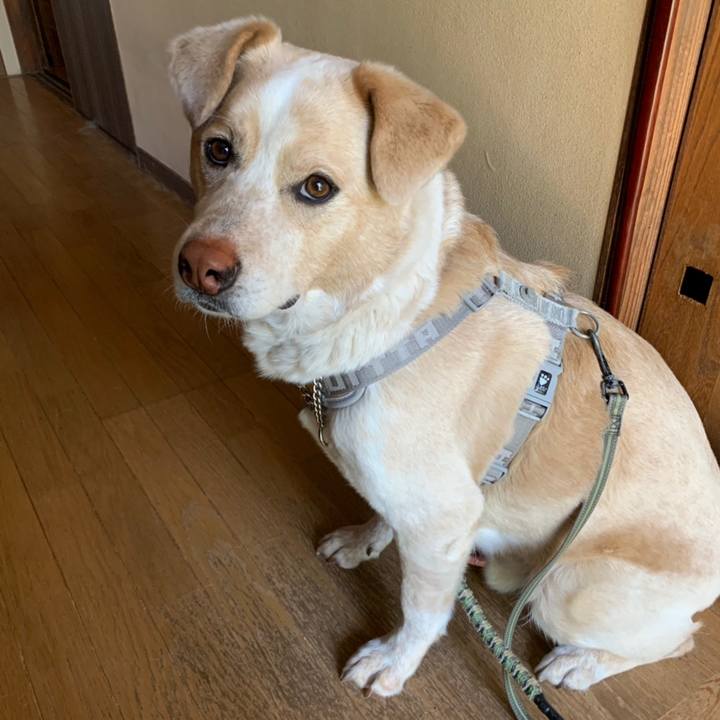 3602ce86 b9fa 454f a074 8a5f8007c469 1558580384138