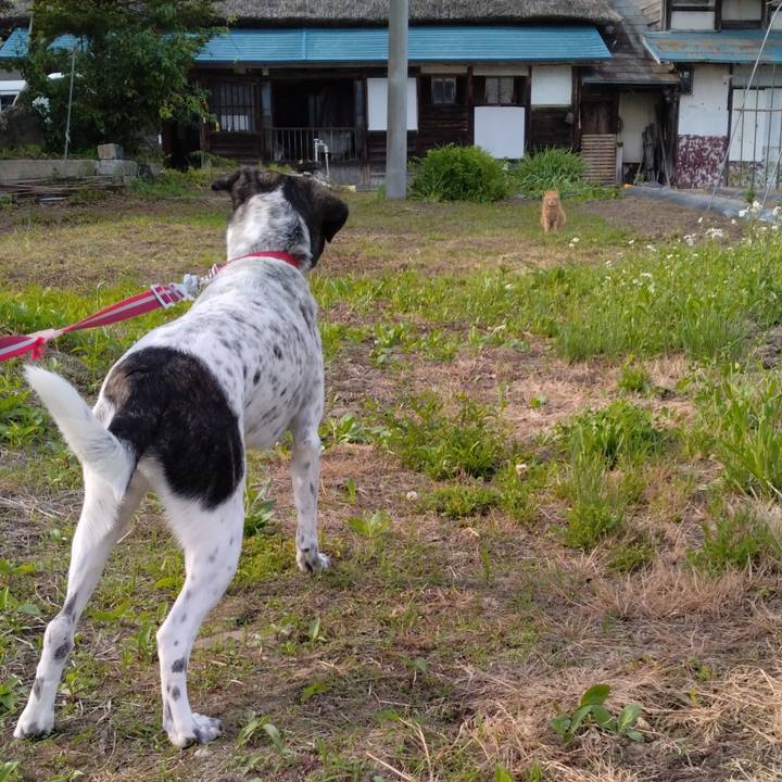 3602d17d 77cf 4c52 8660 ef0ff2a94bf0 1685171788529