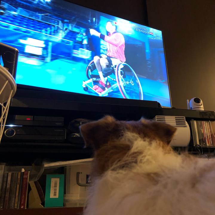 3602d2e2 8c02 445a b8aa 3cc02ed44b94 1630754687300