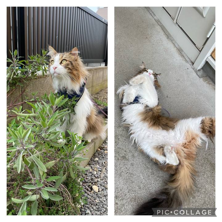 3602f11d 5742 451a 8542 85ed356c4ee1 1683161003337