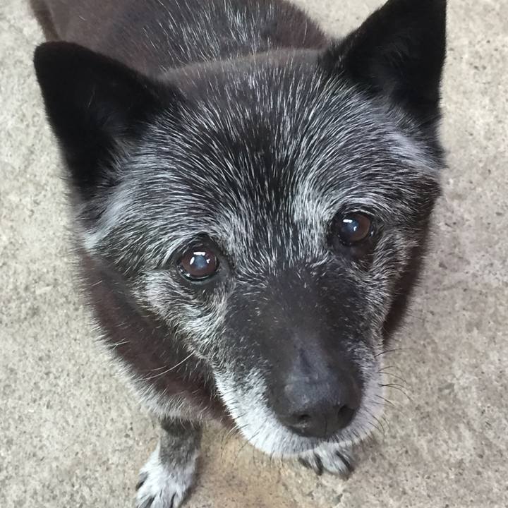 36030daf 0657 494a bc14 2f1ddb869016 1515319628063