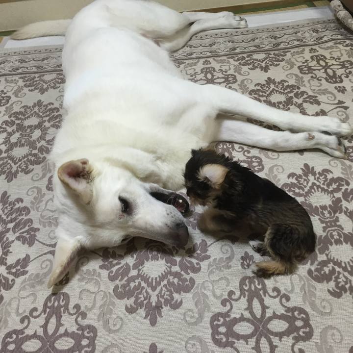 36032d02 2c05 4cec a249 0f964c87e1a8 1564751382694