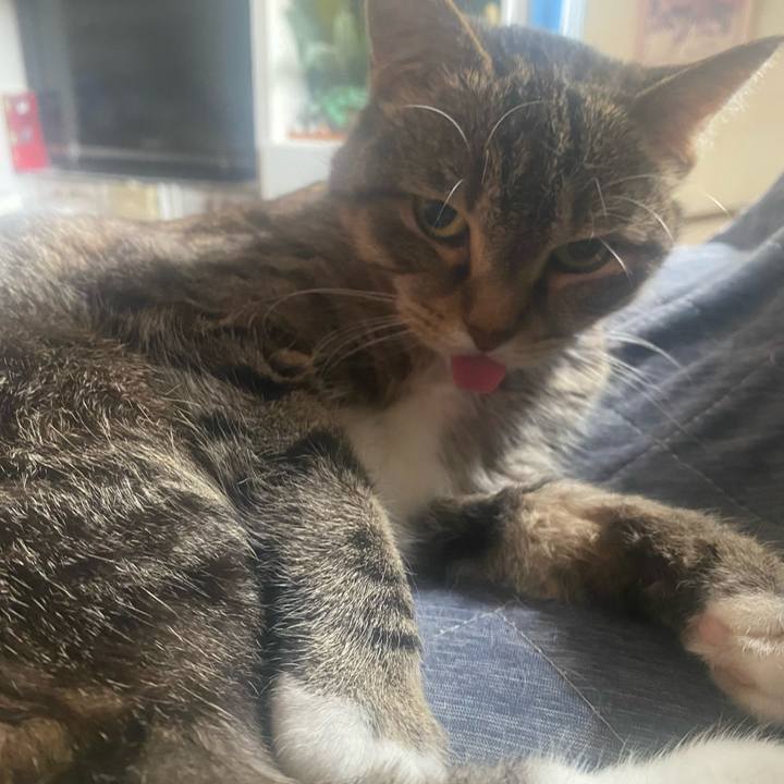 3603c947 e3a8 4c9b 9acd 380415826ef2 1749351390650