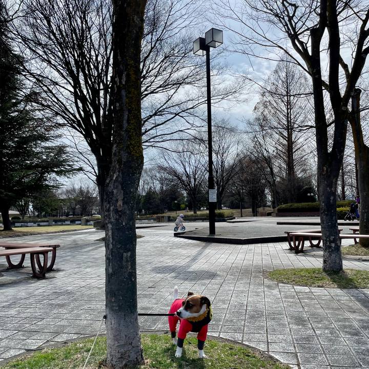 3603d32e a951 4a97 8284 8c3616352764 1647508913820