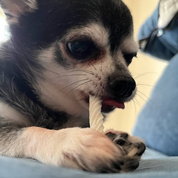 360429ab c352 4021 b355 094deab6d133 1754872598451