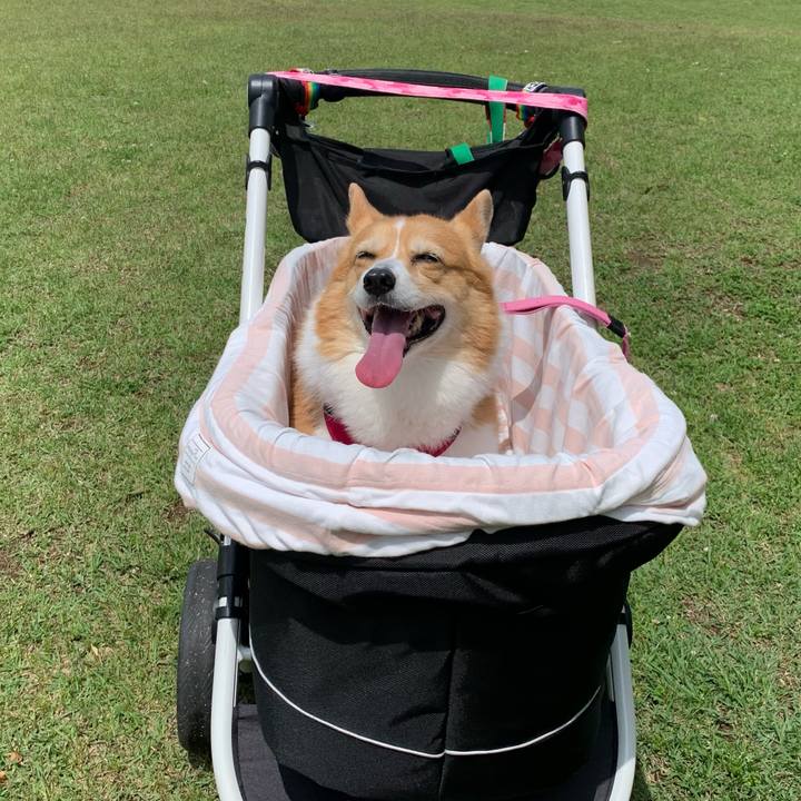 360470ef 2f14 4dce ad87 fec801c0bb40 1715229873929