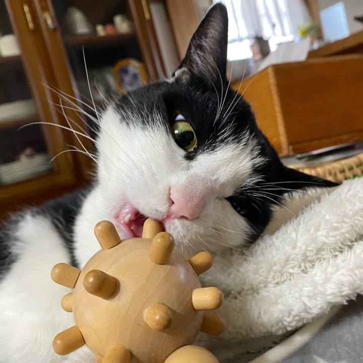 36047173 86ed 4350 9078 b5665b5d5c2b 1611793423484