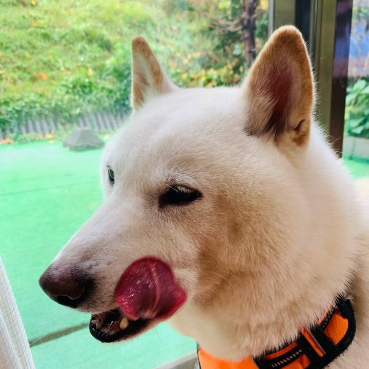 36047e10 dc3c 4202 965f 73705632db1c 1634798836731