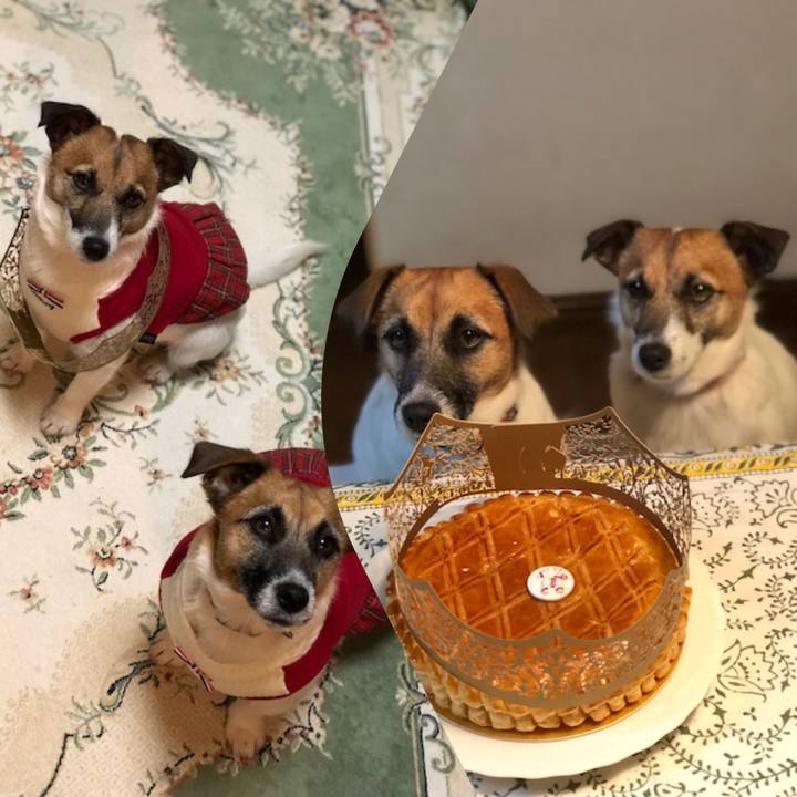 3604995d 83f9 4f79 bc80 fa889d83f037 1546427958565