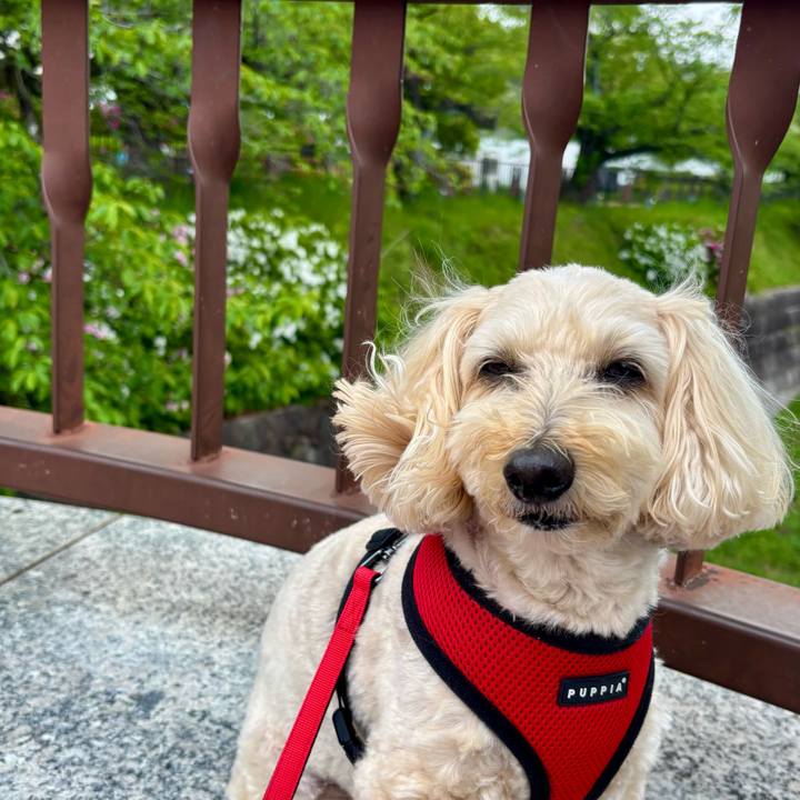 3604a807 4fa4 45da 99d2 32fe545a6866 1776398348608