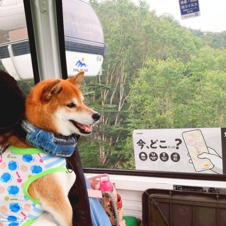 3604c787 0dbd 41ae bc3b 626cc70c24e1 1752153315668