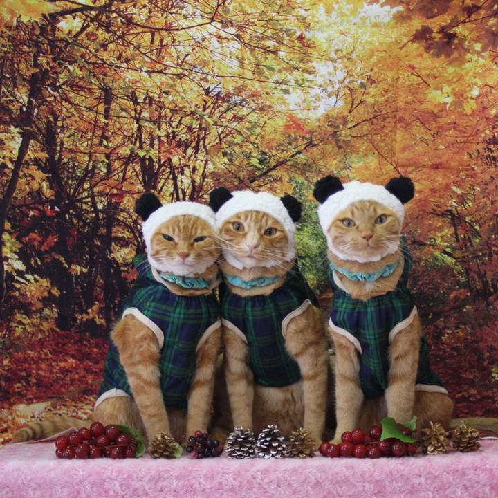 36053f02 3fc6 46a6 97c9 f0d6247cfed2 1763732243498