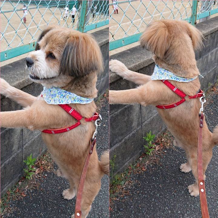 36056d51 a65b 4d67 831d c37a1c92c6fc 1559308226837