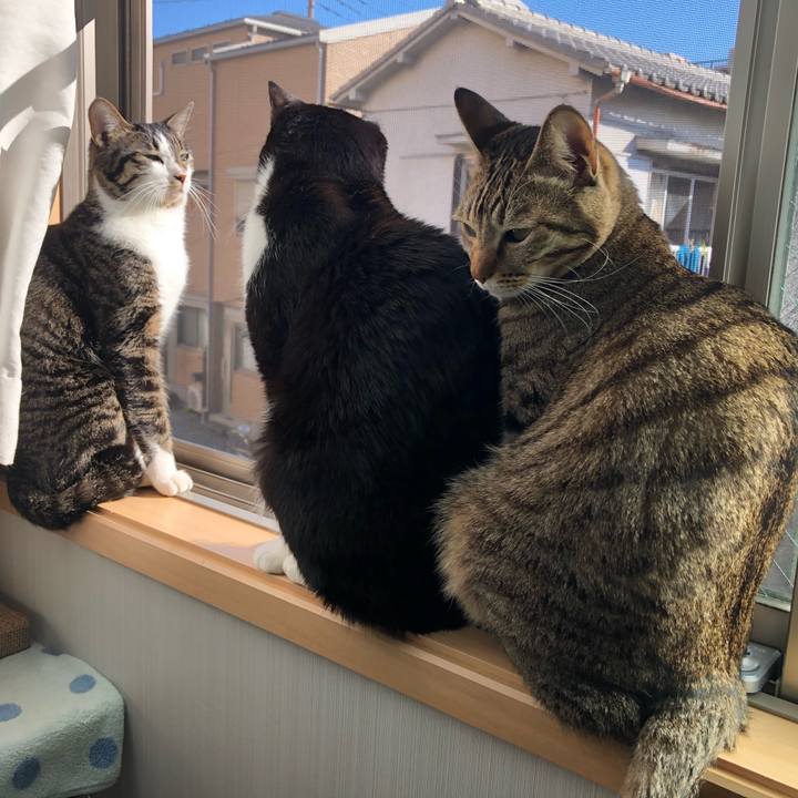 36056f45 173a 45a5 b79c 25b2f286c7be 1605060674495