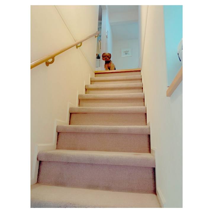 36057e33 1e6c 44ad 954c 9e6775b221b7 1571028295085