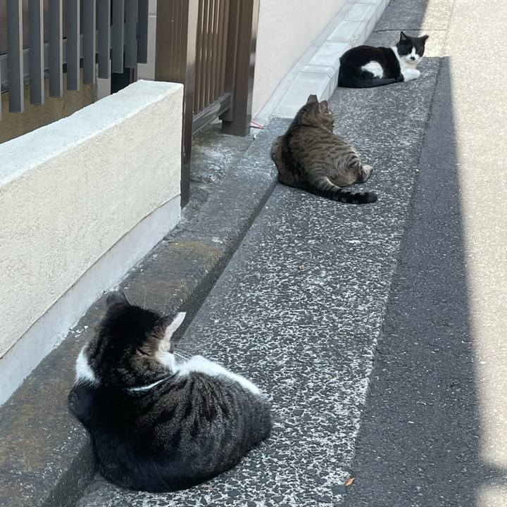 36058543 b7ac 4627 a2ac 7806beaf38e6 1616741730043