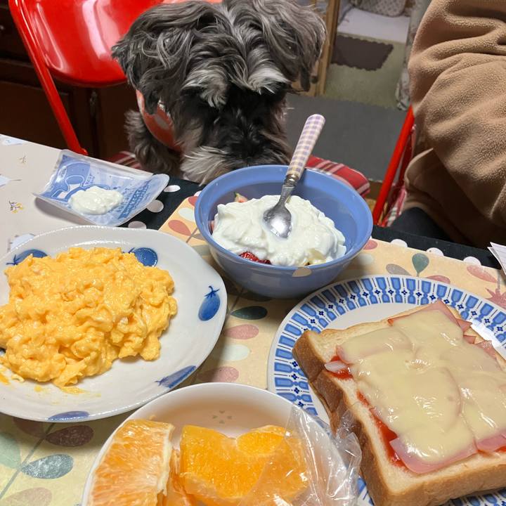 3605a37c 1c08 4dcf 9059 9f714fb39021 1775279342351