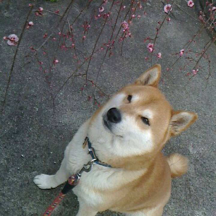 3605ca32 bef8 4373 9471 bc3f4edbd8af 1550979480093