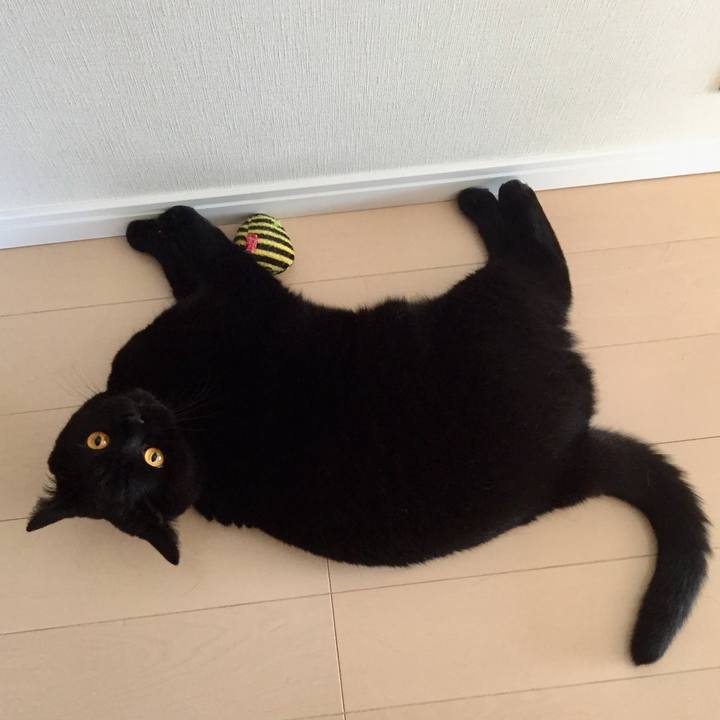 3605d9de 74e8 4dc7 b6fa 764526a33403 1530312194273